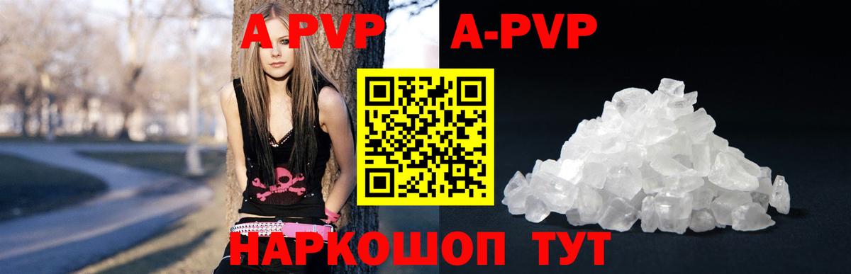 A PVP СК Вязьма