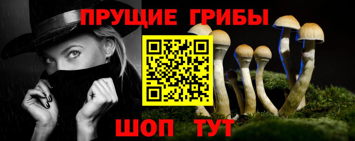 Вязьма  Галлюциногенные грибы прущие грибы  Вход с VPN 